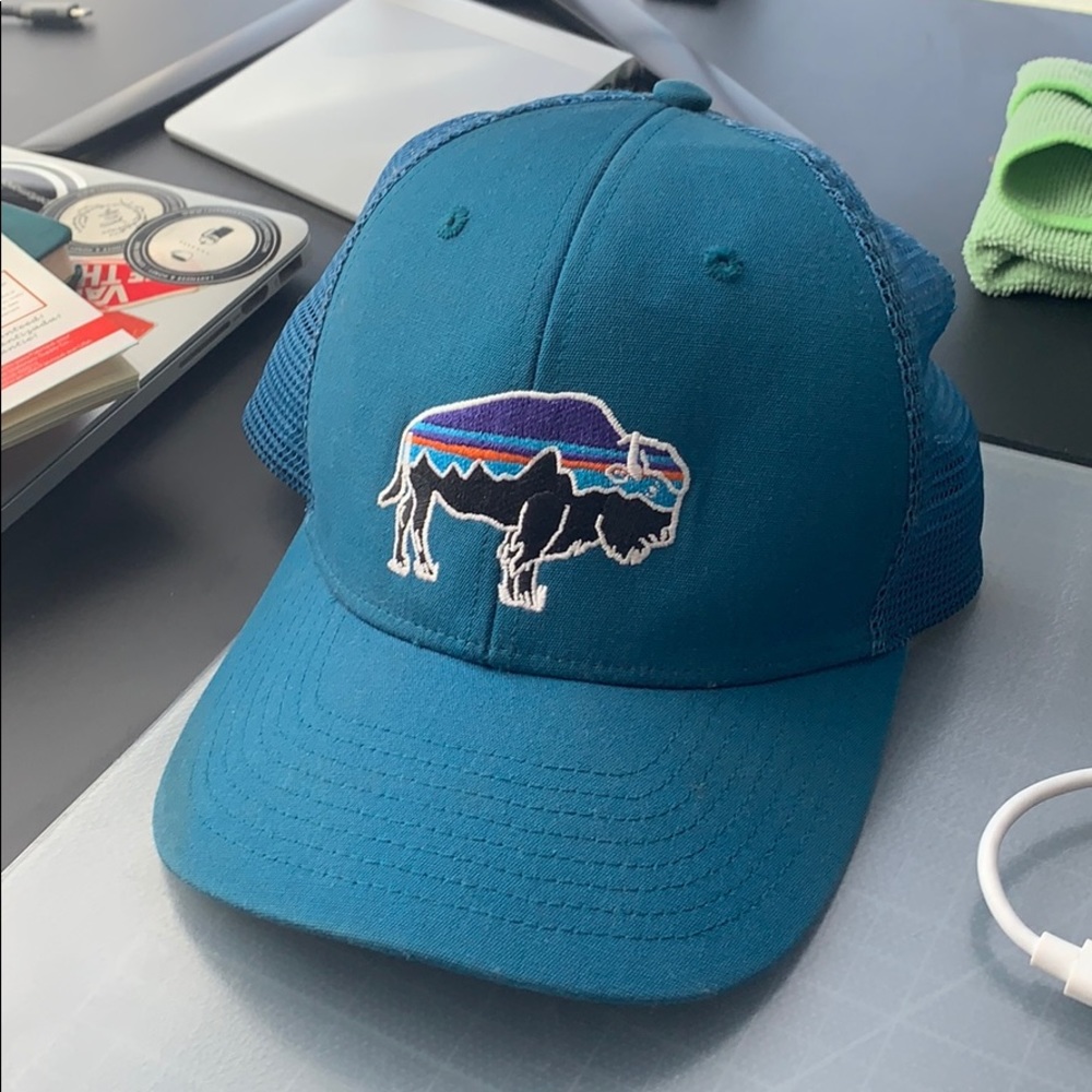 Patagonia Fitz Roy Bison Hat